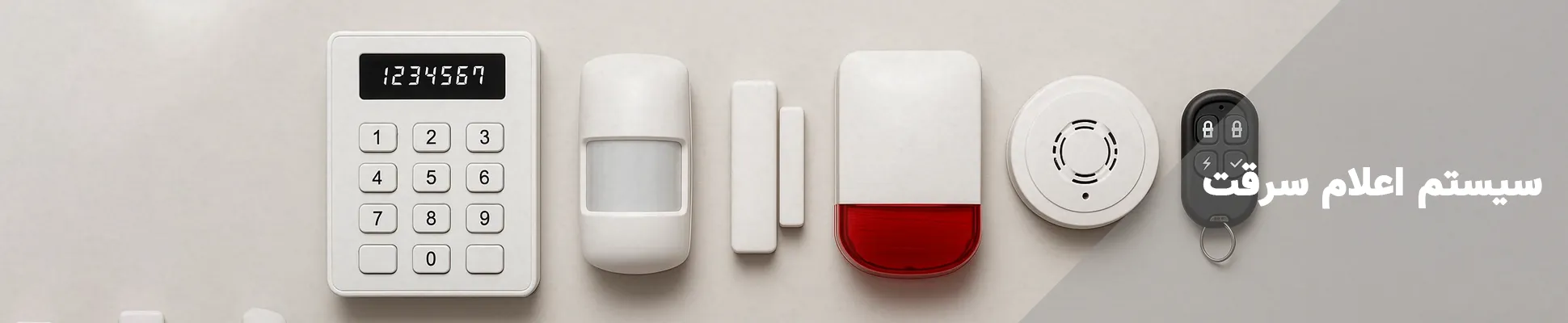 سیستم اعلام سرقت