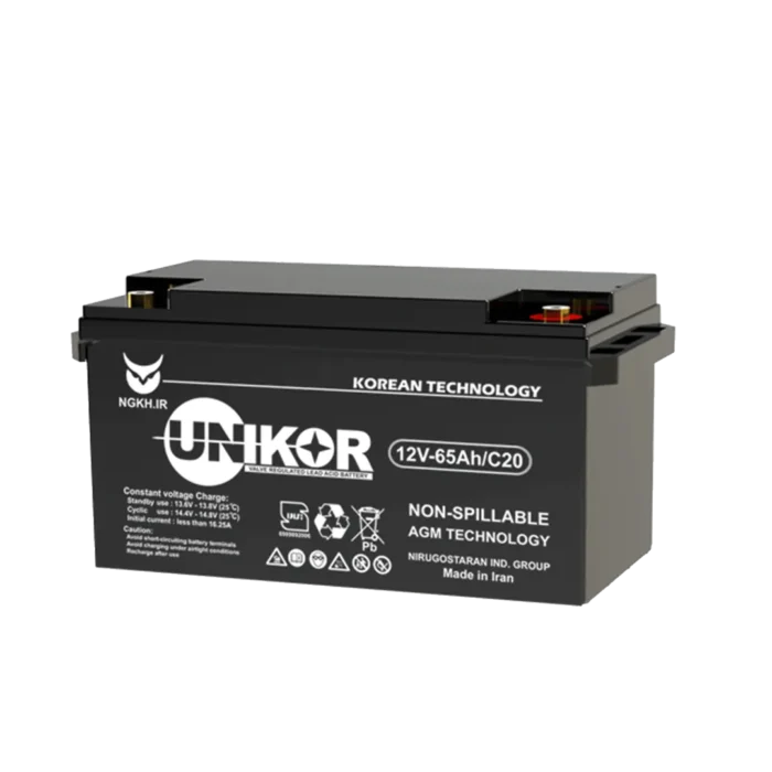 باطری یو پی اس یونیکور 12 ولت 65 آمپرساعت Unikor Ups Battery